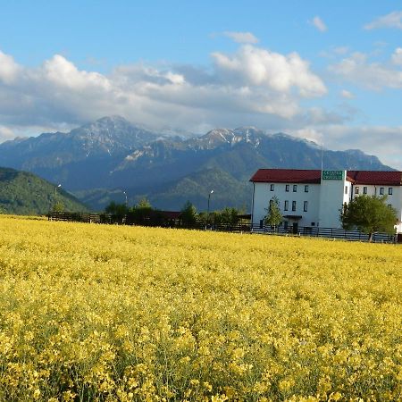 Pensiunea Cetatea Craiului Rîşnov Εξωτερικό φωτογραφία