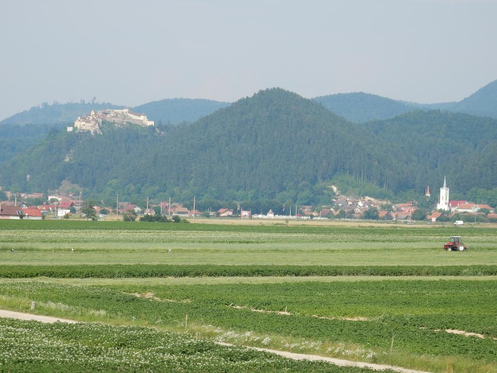 Pensiunea Cetatea Craiului Rîşnov Εξωτερικό φωτογραφία